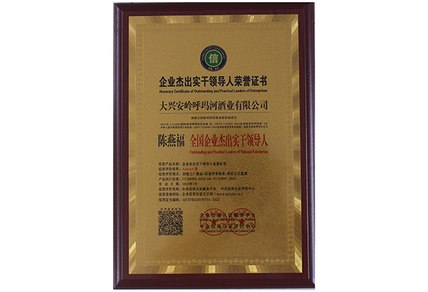 全國(guó)企業(yè)杰出實(shí)干領(lǐng)導(dǎo)人